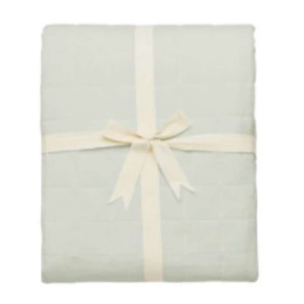 Aloe Kyte Adult Blanket